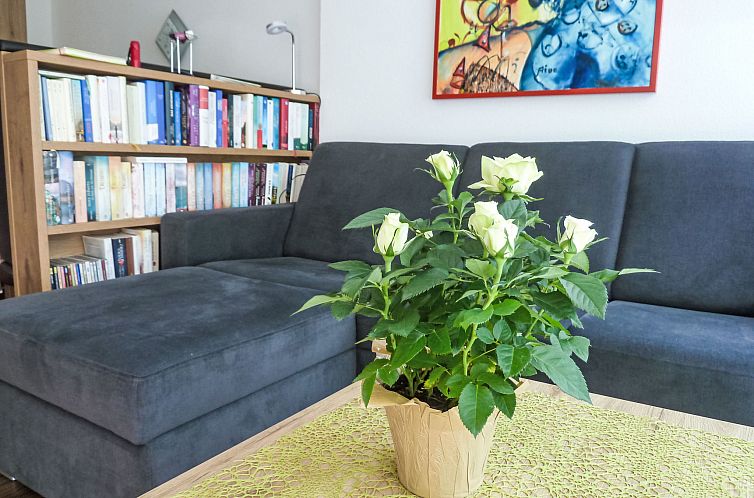 Appartement TOP 4