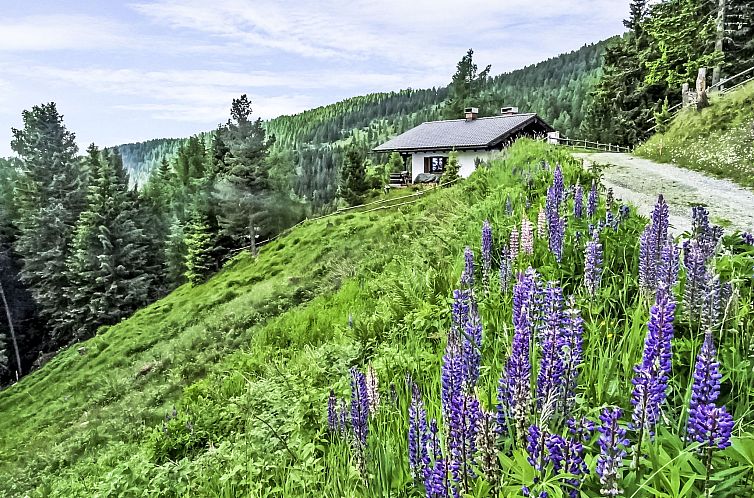 Verblijf 11414804 - Vakantiewoning Karinthië - Vakantiehuis Lotte