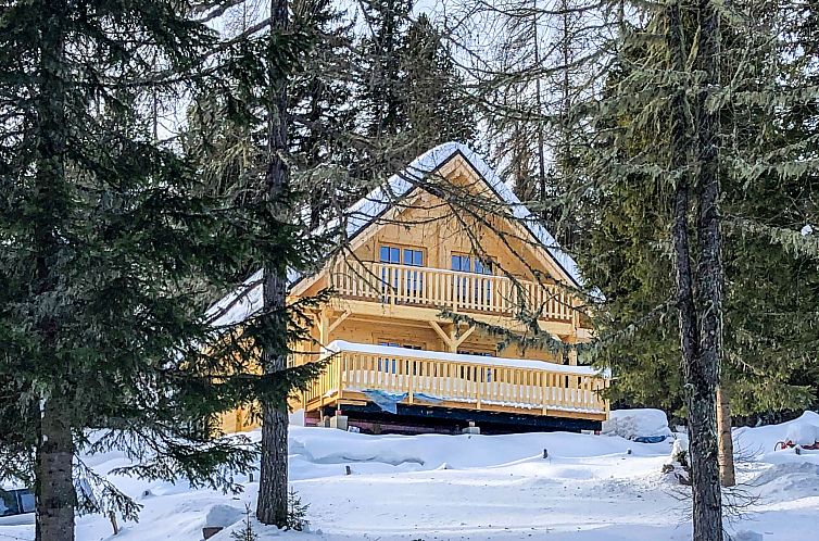 Vakantiehuis Almhaus Galisch