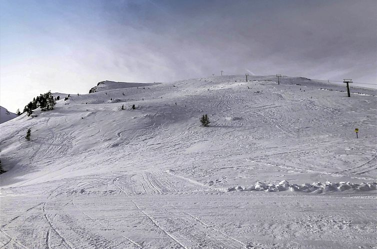 Vakantiehuis Almhaus Galisch