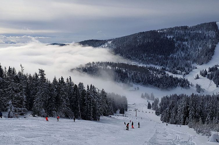 Vakantiehuis Almhaus Galisch