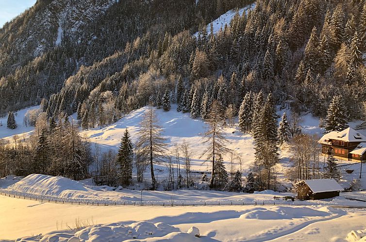 Appartement Studio Wasserfall