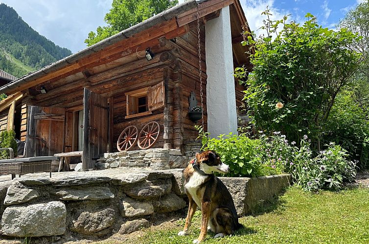 Vakantiehuis Romantikhütte
