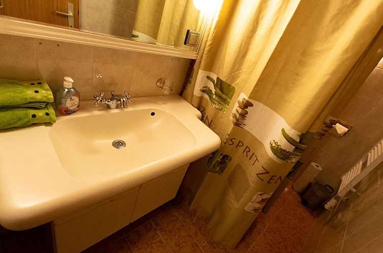 Appartement mit beheiztem Pool in Flattach