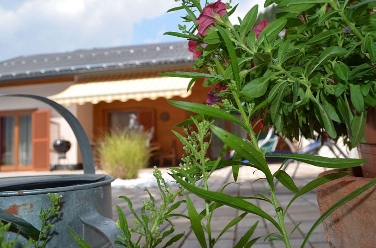 Appartement Geräumige Ferienwohnung mit zwei Schlafzimmern