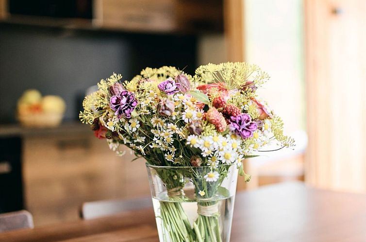 Appartement Enzian Lodge 50m²