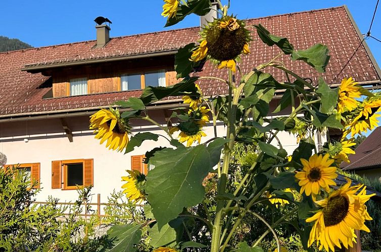 Appartement Haus Sunshine