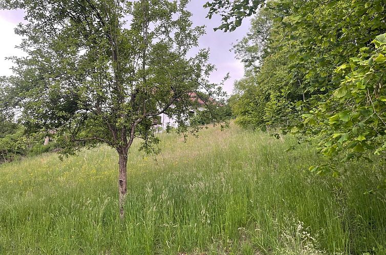 Kavel in Moosburg