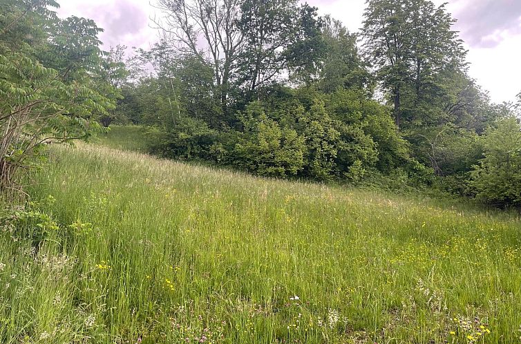 Kavel in Moosburg