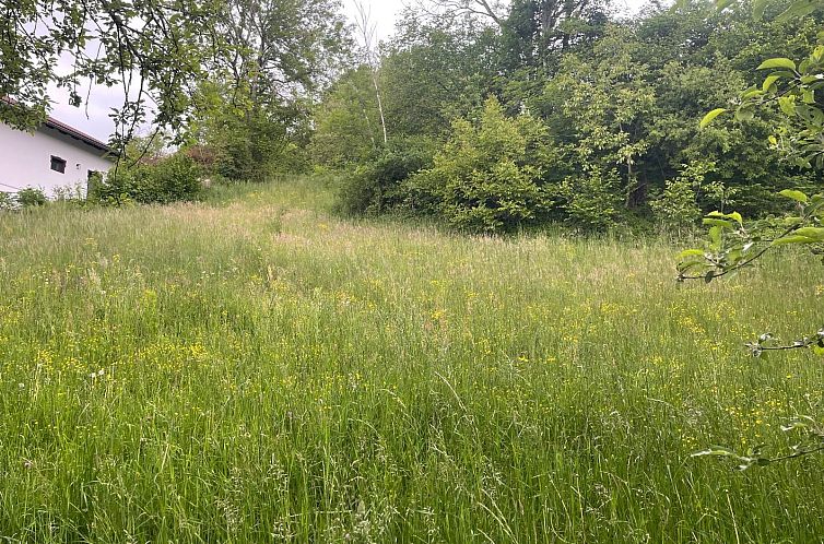 Kavel in Moosburg