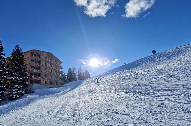 Sonnenalpe Nassfeld Bergblume