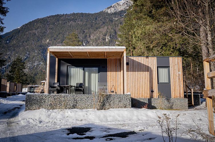 Vakantiehuis Wulfenia in Presseggen, Karinthie biedt een luxe verblijf met een terras en uitzicht op de winterse natuur.