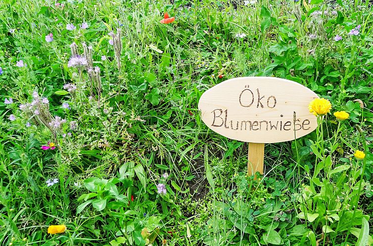 Vakantiehuis Glockner