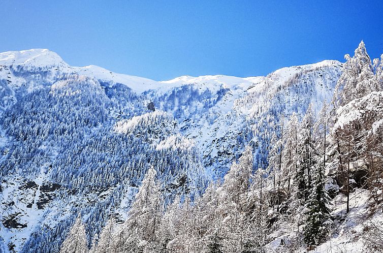Vakantiehuis Glockner