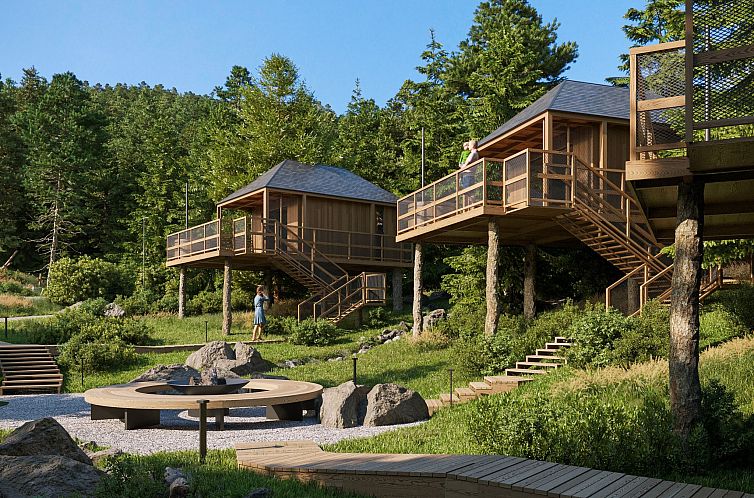 Vakantiehuis Premium Baumhaus mit 1 Schlafzimmer
