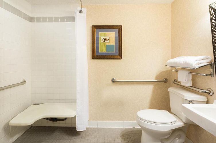 Holiday Inn Hotel & Suites Clearwater Beach South Harboursid