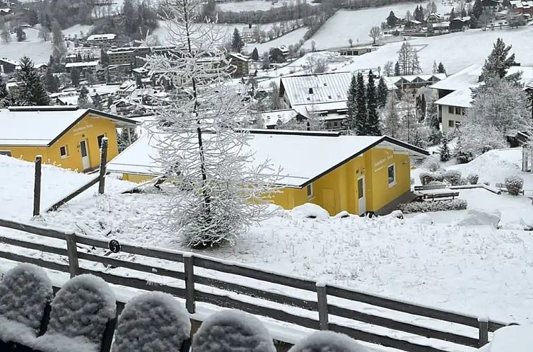 Waldvilla aan de skipiste!