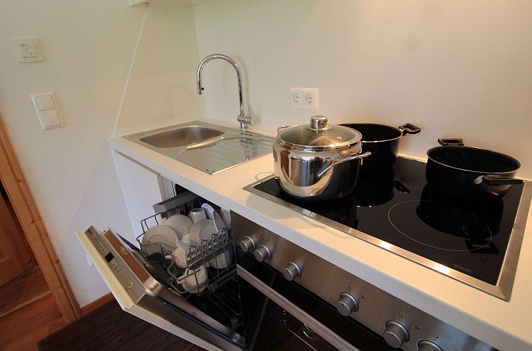 Appartement Hirsch