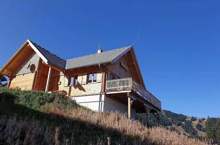 Verblijf 11431908 - Chalet Karinthië - Chalet in Bad St.Leonhard