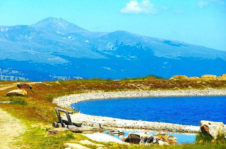 Chalet in Bad St.Leonhard