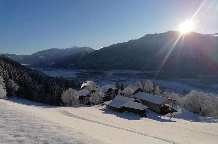 Guest house 11432102 - Apartment Karnten - Appartement Waldpension Ranner