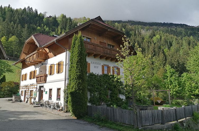 Appartement Waldpension Ranner