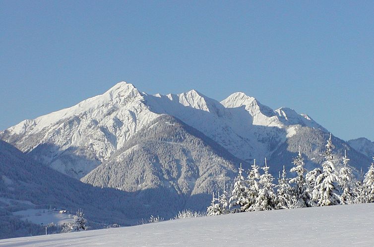 Appartement Waldpension in Steinfeld