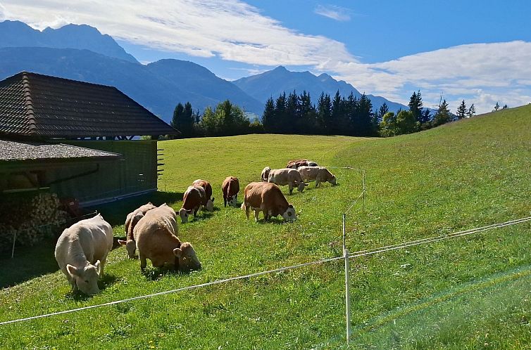 Appartement Waldpension in Steinfeld