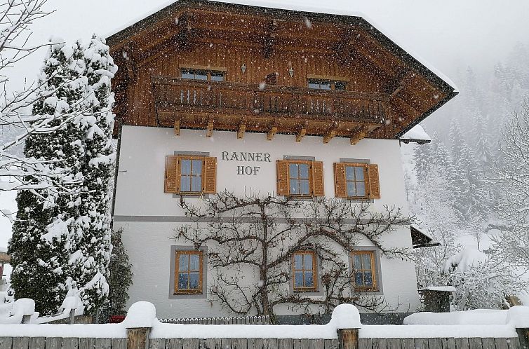 Guest house 11432104 - Apartment Karnten - Appartement Waldblick in Steinfeld