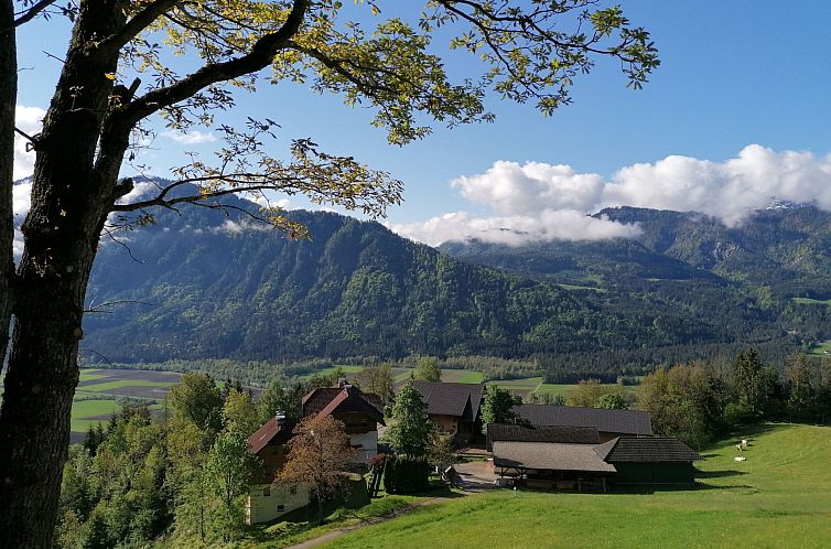 Appartement Waldblick in Steinfeld