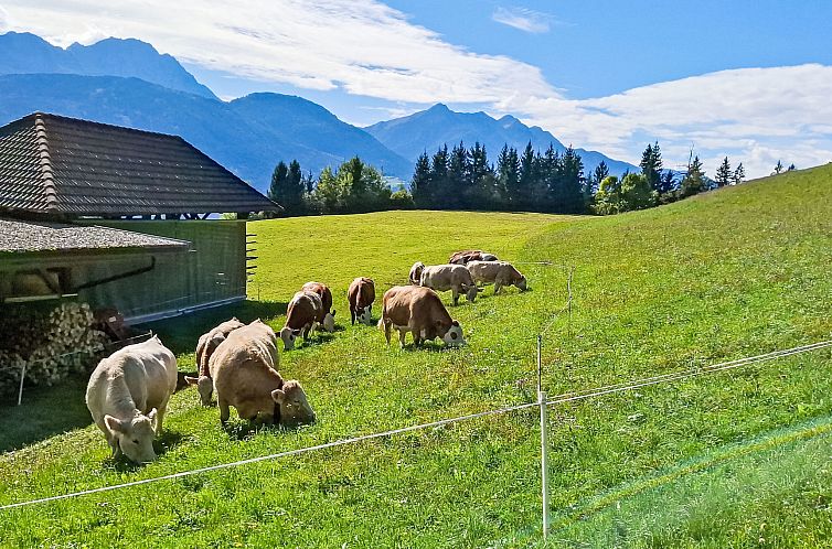 Appartement Waldblick in Steinfeld