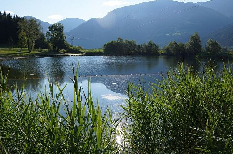 Appartement Reißkofel in Steinfeld