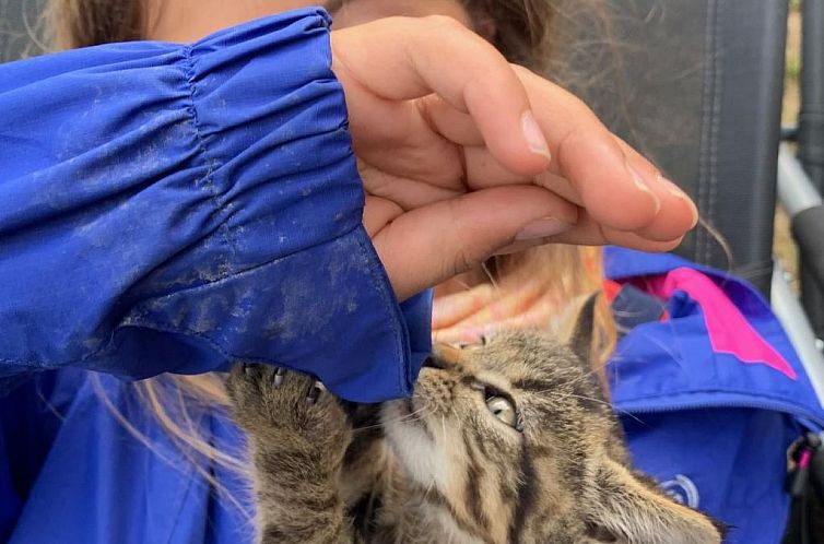 Appartement Suntiger