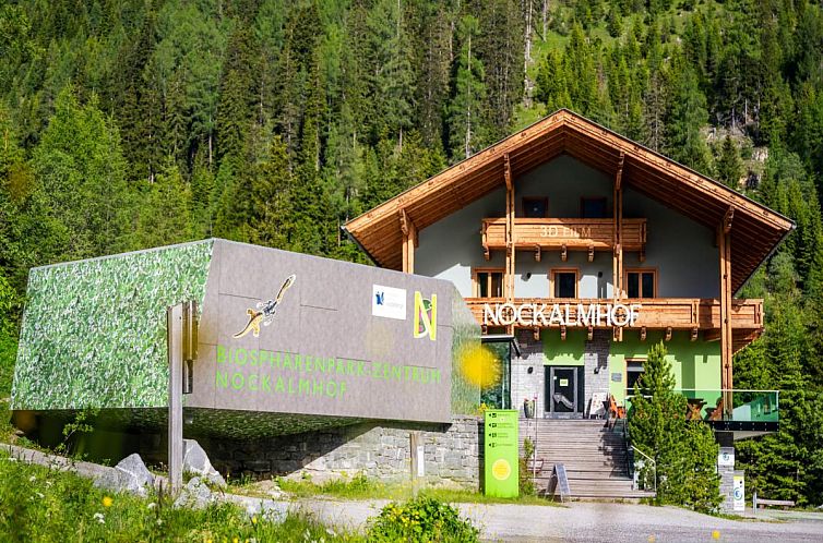 Vacation home Nockalmhof Top 3 in Kremsbrucke, Carinthia, with stunning views of the green Alps.