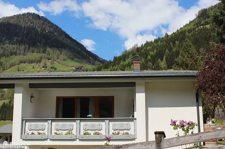 Zwei Tannen