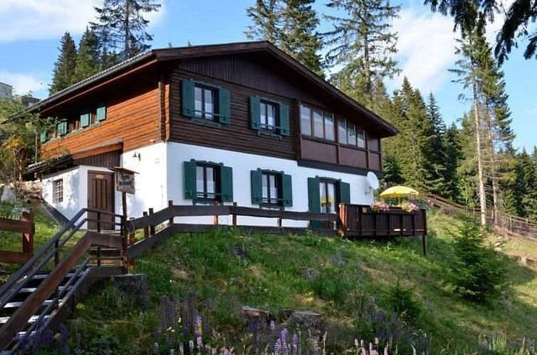 Vakantiehuis Almhaus am Hohenwart