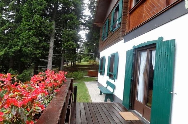 Vakantiehuis Almhaus am Hohenwart