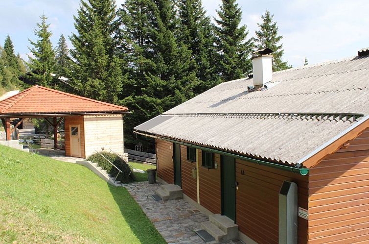 Vakantiehuis Gemütliche Almhütte direkt im Skigebiet