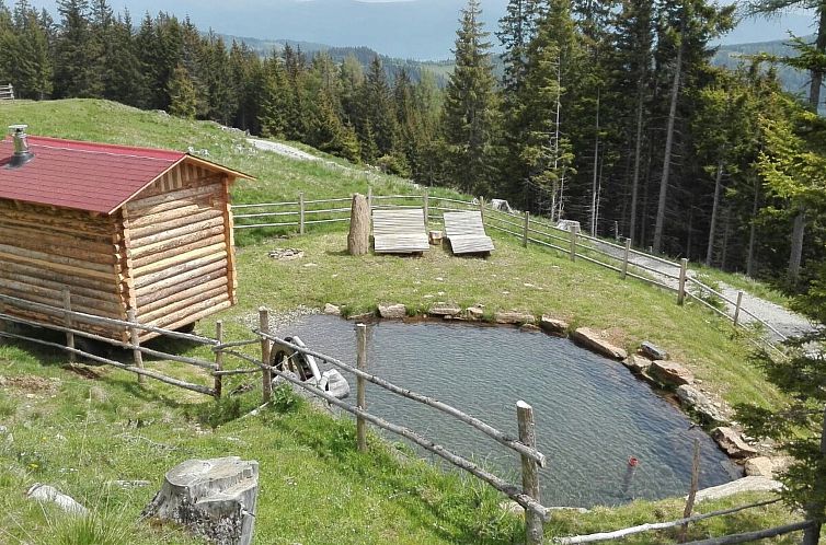 Vakantiehuis Harterhütte in Klippitztörl