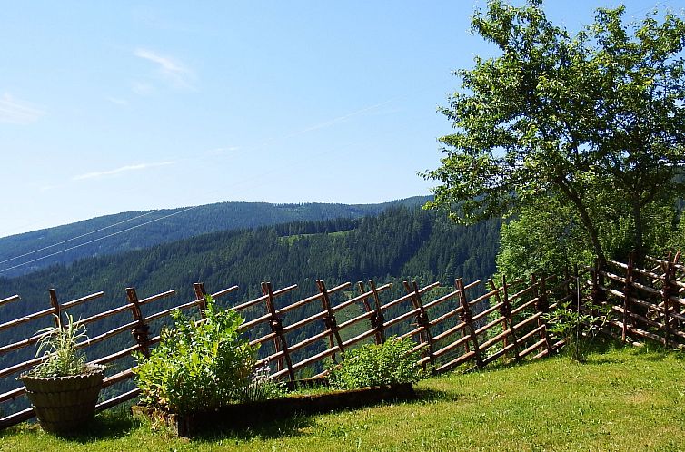 Vakantiehuis zum Koralmblick