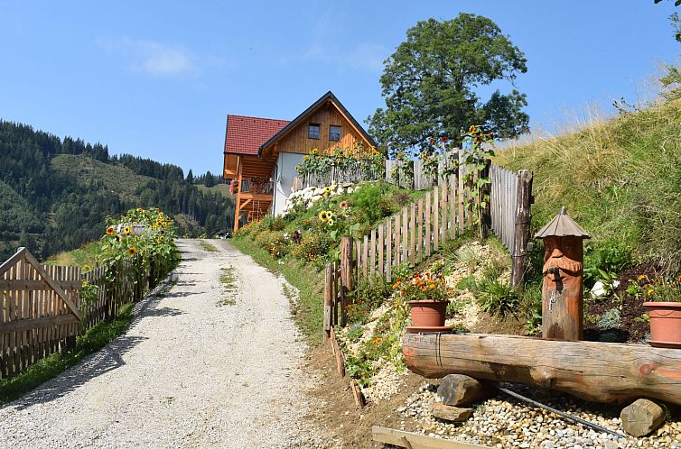 Vakantiehuis Alm-Ferienhaus