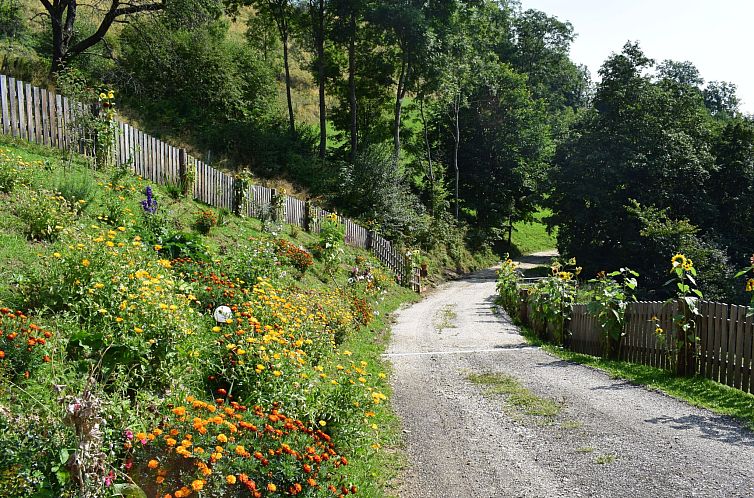 Vakantiehuis Alm-Ferienhaus