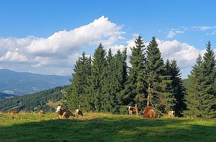 Vakantiehuis Zirbenholzalmhütte mit fantastischem Ausblick