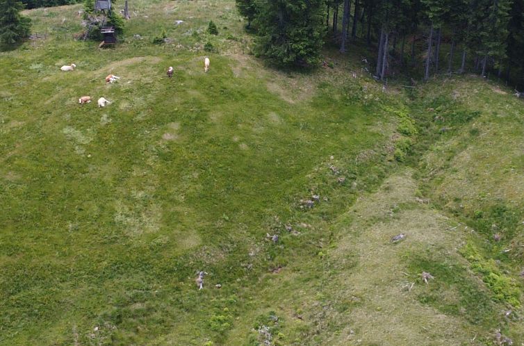 Vakantiehuis Alpentraum in Klippitztörl