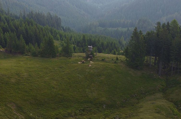Vakantiehuis Alpentraum in Klippitztörl