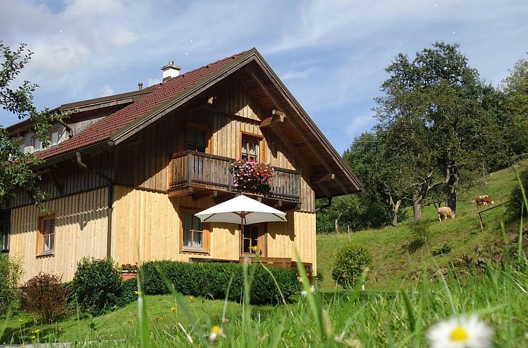 Vakantiehuis Schmiedbauer Hütt`n