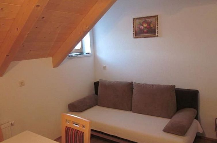 Vakantiehuis Schmiedbauer Hütt`n