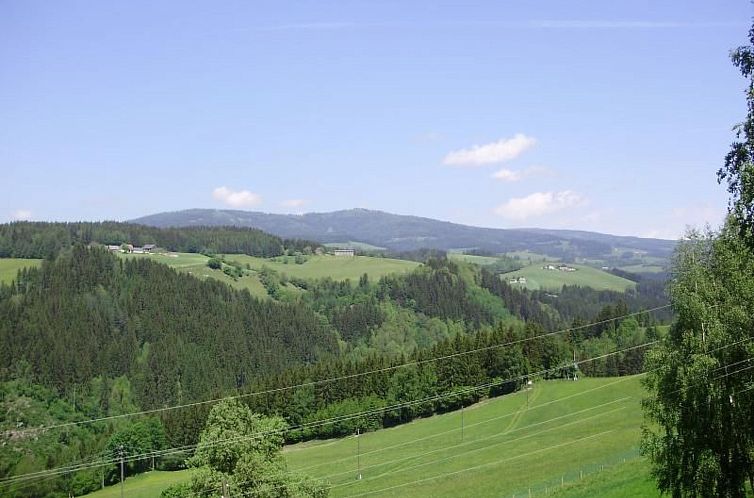 Vakantiehuis Schmiedbauer Hütt`n