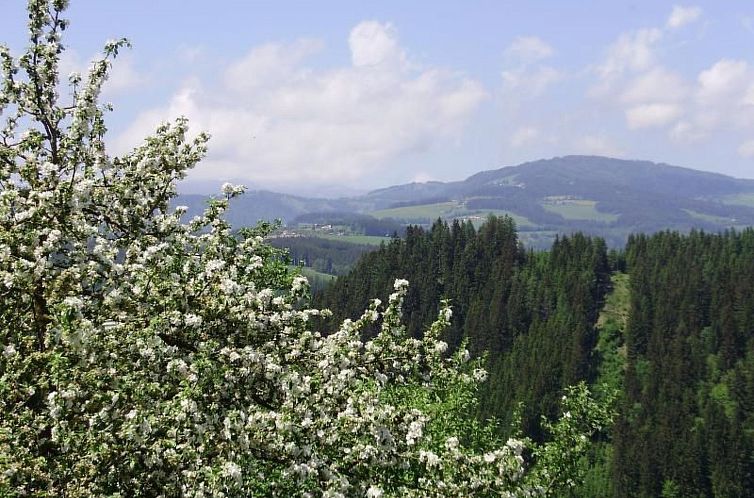 Vakantiehuis Schmiedbauer Hütt`n