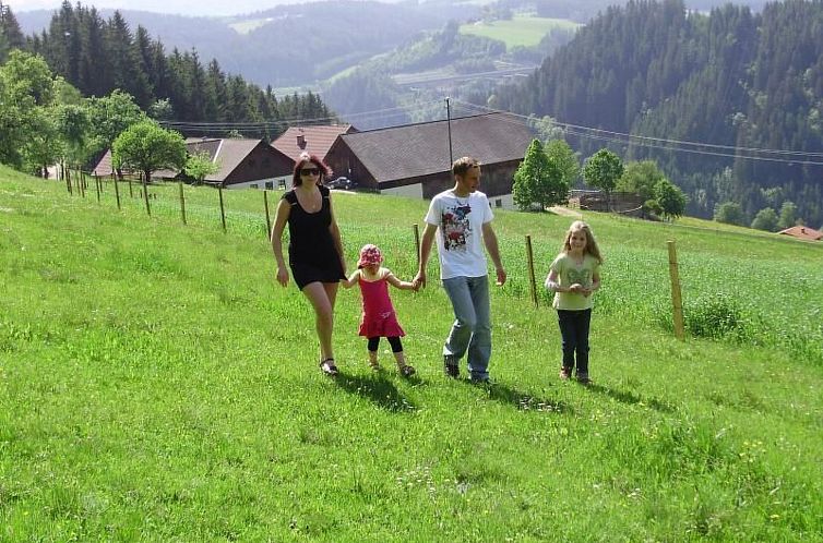 Vakantiehuis Schmiedbauer Hütt`n